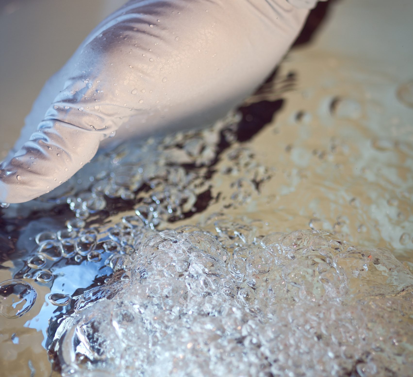 Bionest, notre vision en développement durable