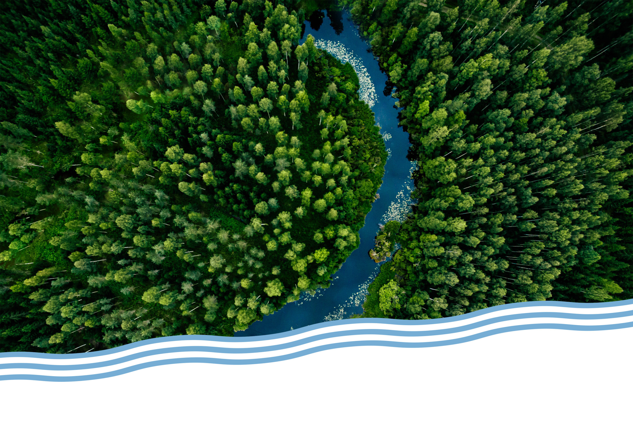 developpement-durable-bionest