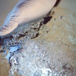 Bionest, notre vision en développement durable