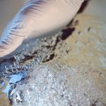 Bionest, notre vision en développement durable